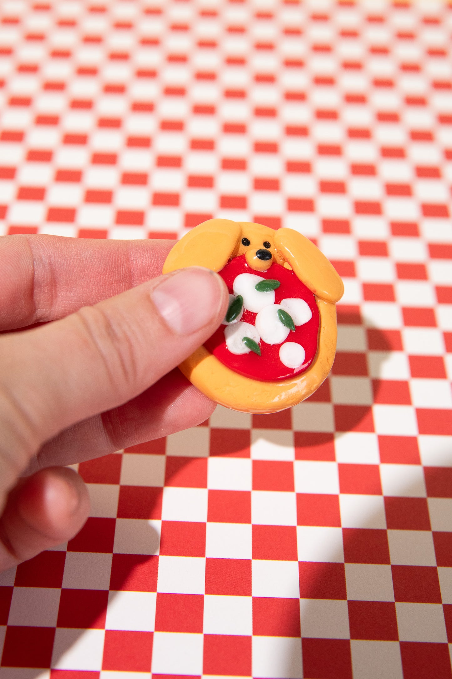 Detailaufnahme Sorgenstein Handschmeichler Hund mit Mozzarella Pizza und Basilikum