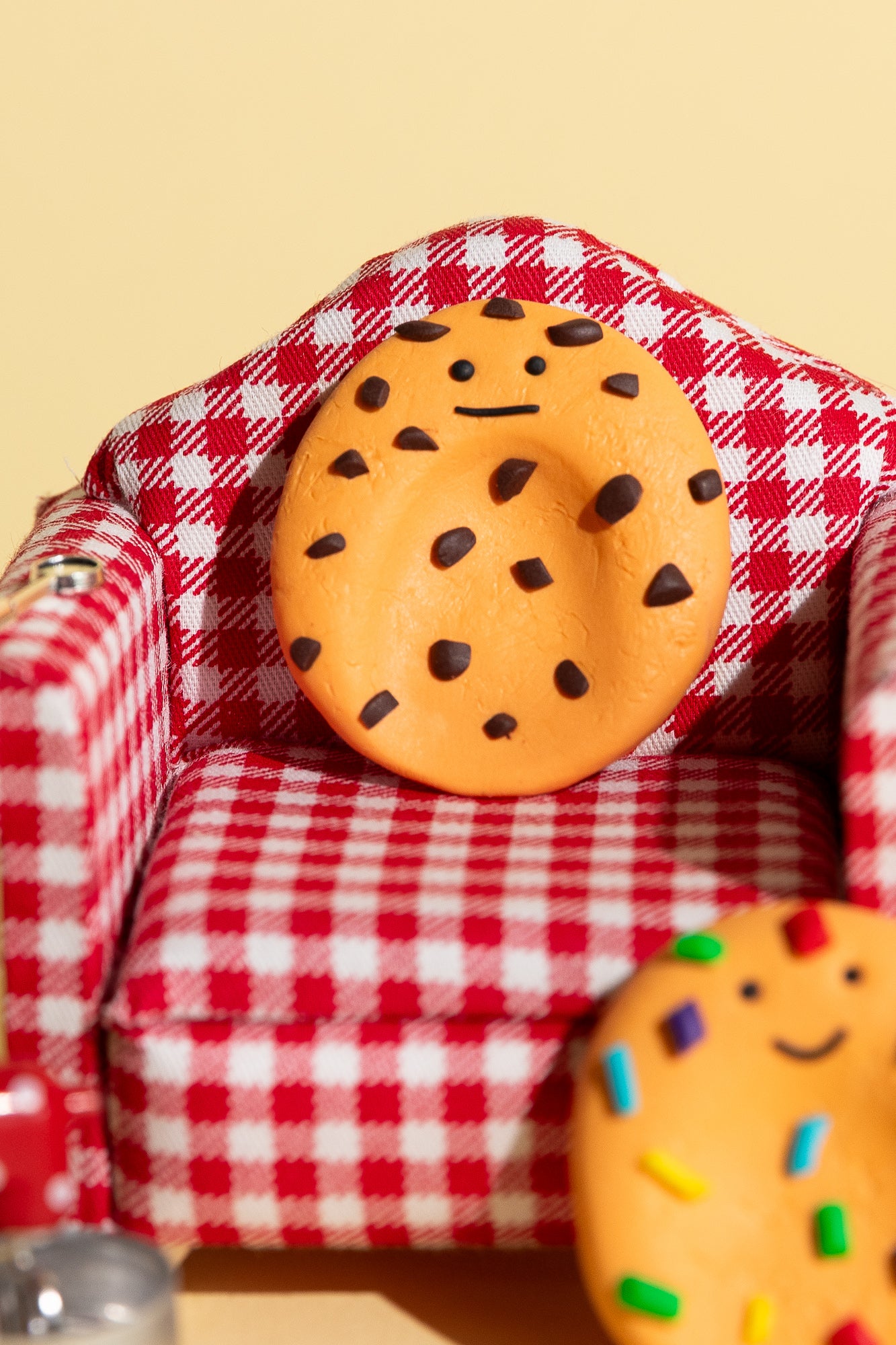 Chocolate Chip Cookie Sorgenstein