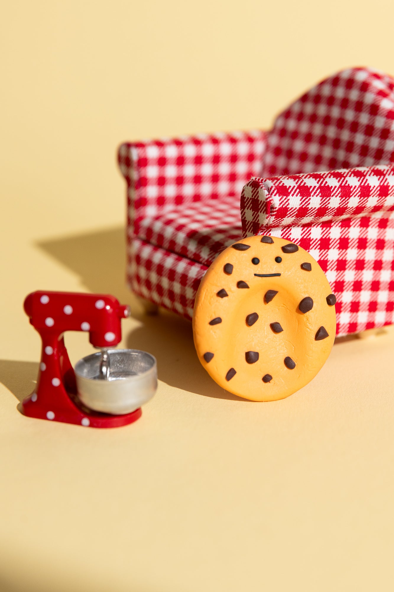 Chocolate Chip Cookie Sorgenstein