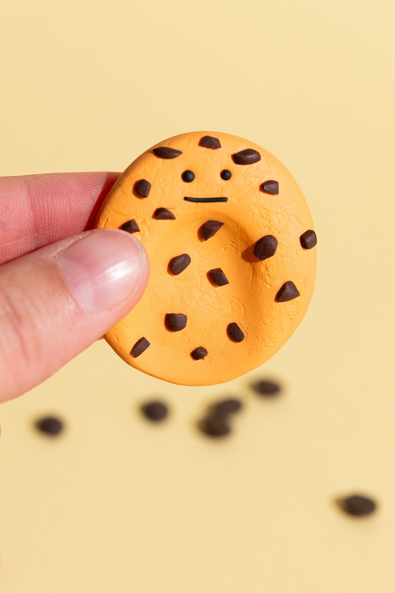 Chocolate Chip Cookie Sorgenstein