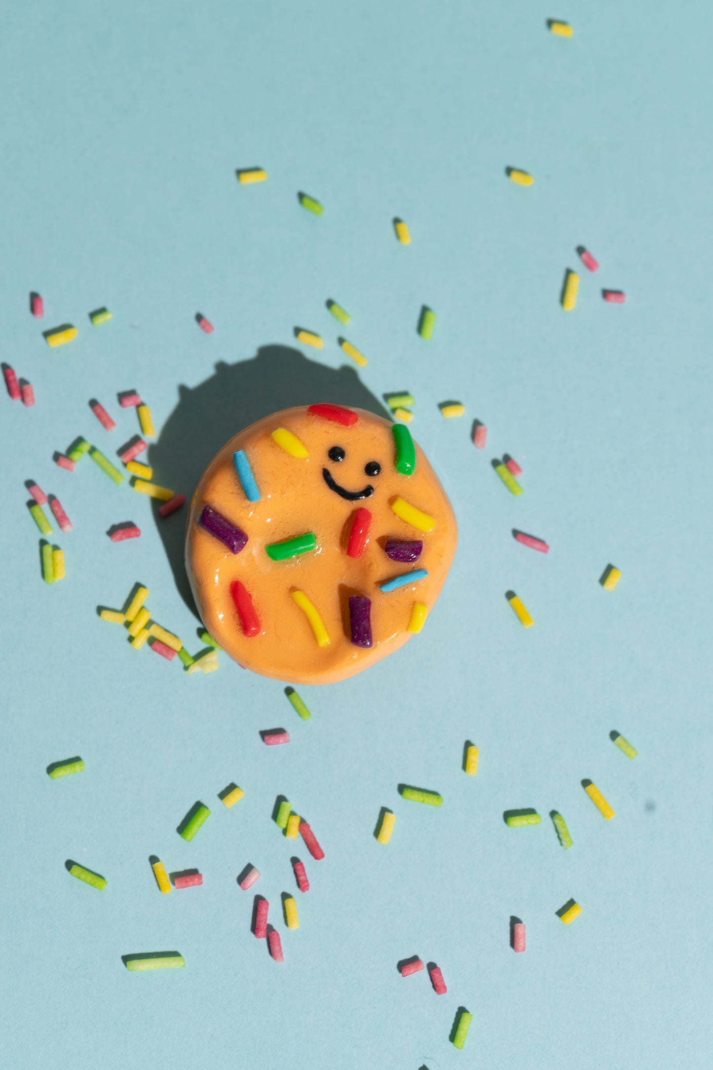 Fidget Toy Sprinkle Cookie Worry Stone